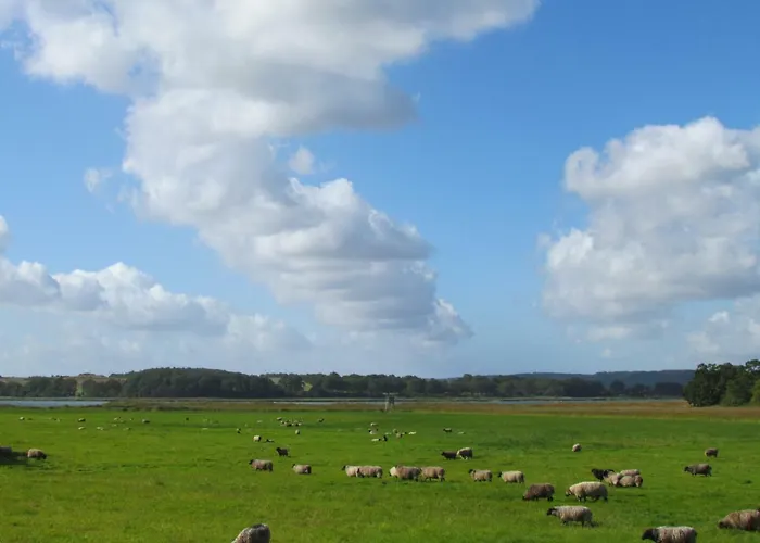 Ferienhaus Dorie Sellin (Rugen)