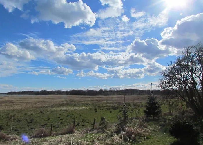 Ferienhaus Dorie Sellin (Rugen)